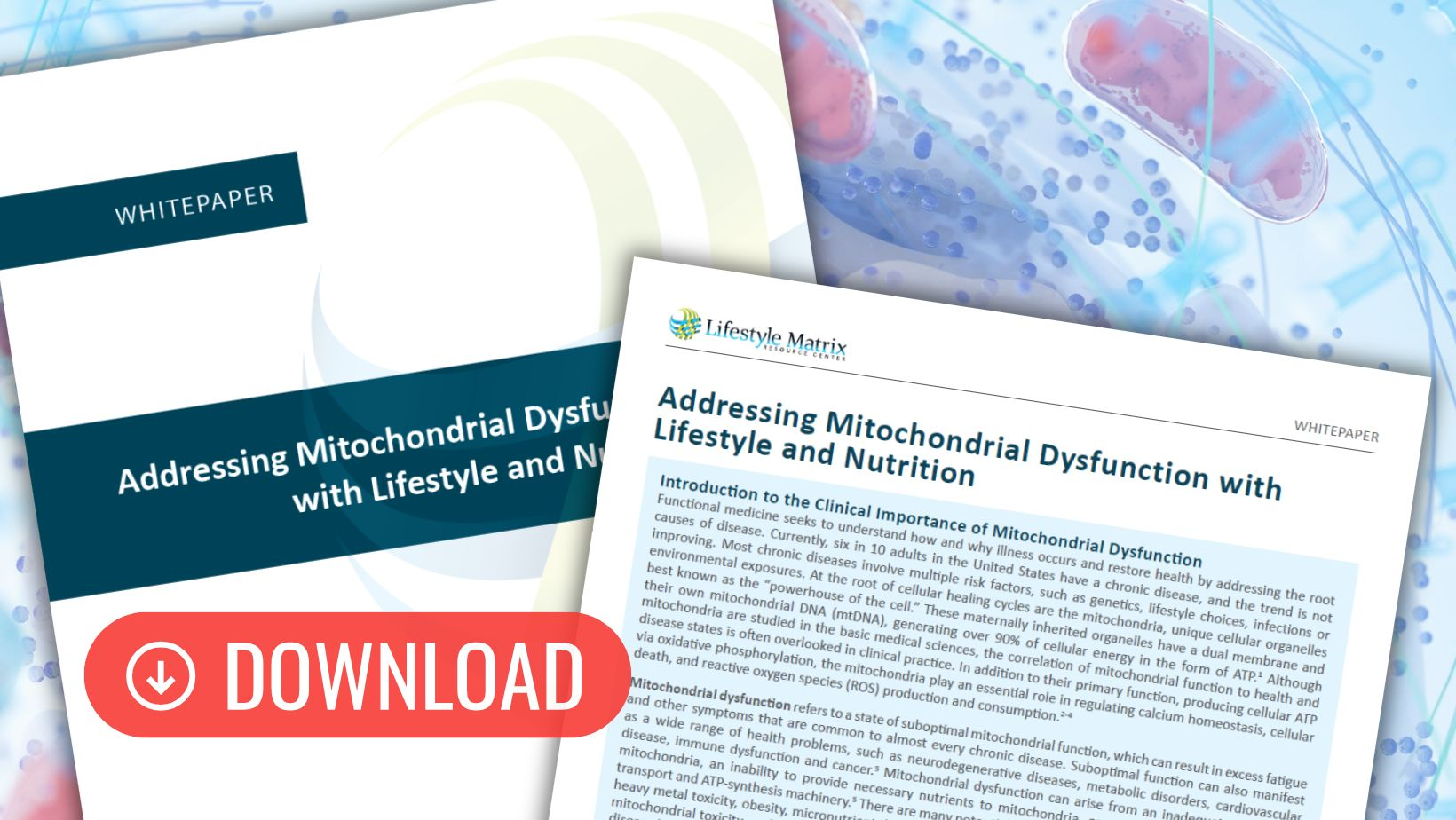 Mitochondria workflow literature image