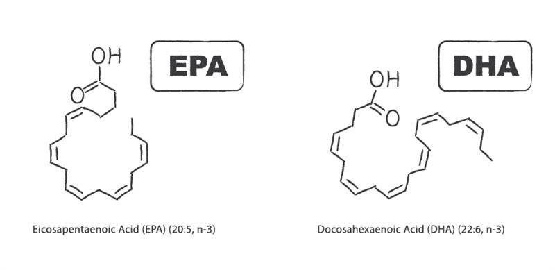 EPA versus DHA Tom Guilliams, PhD on EPA versus DHA