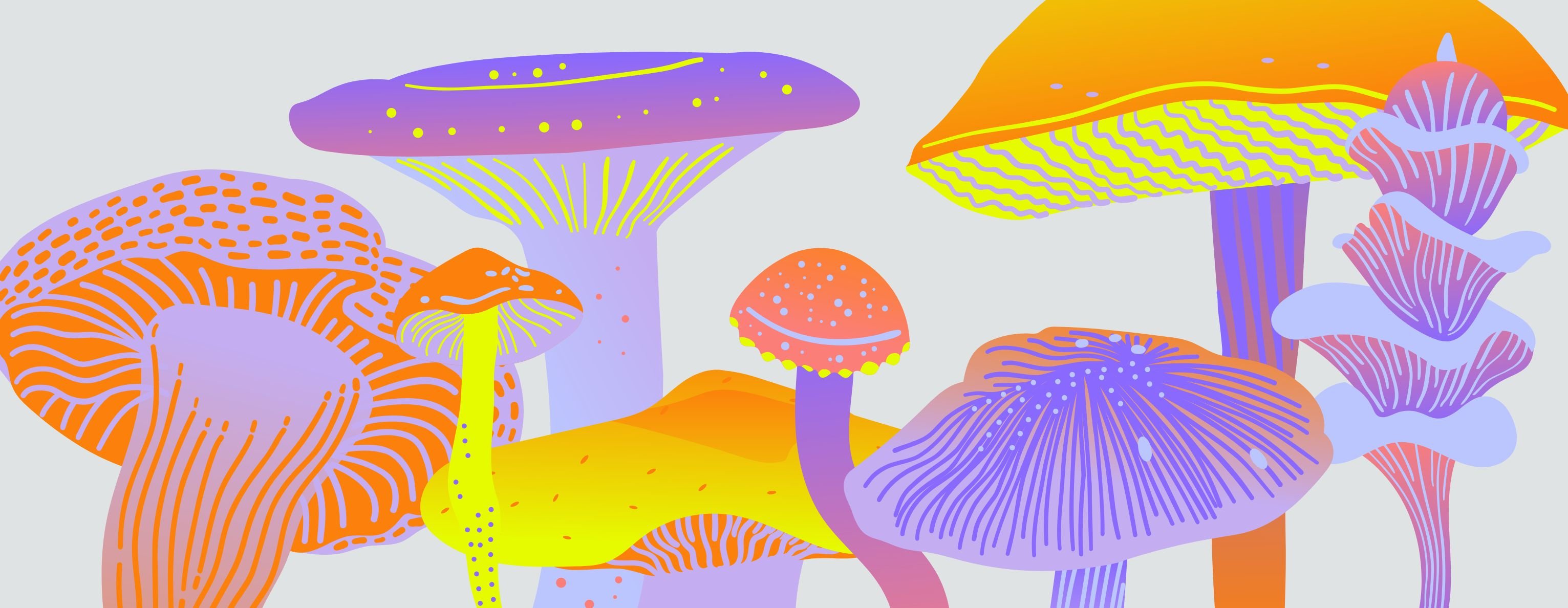 Improving Energy with Mushrooms