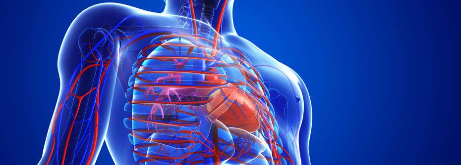 metabolic-syndrome metabolic-syndrome