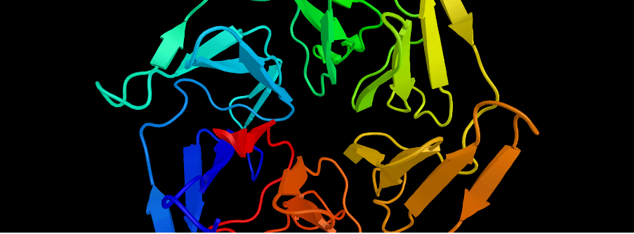 Nrf2 activation KEAP1 protein